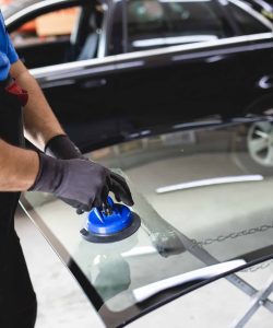 Blue-gloved hands positioning a suction tool on windshield glass